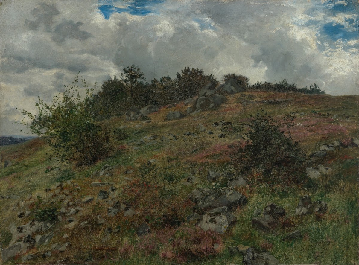 Heidelandschaft bei Klein Sassen in der Rhön 1873
