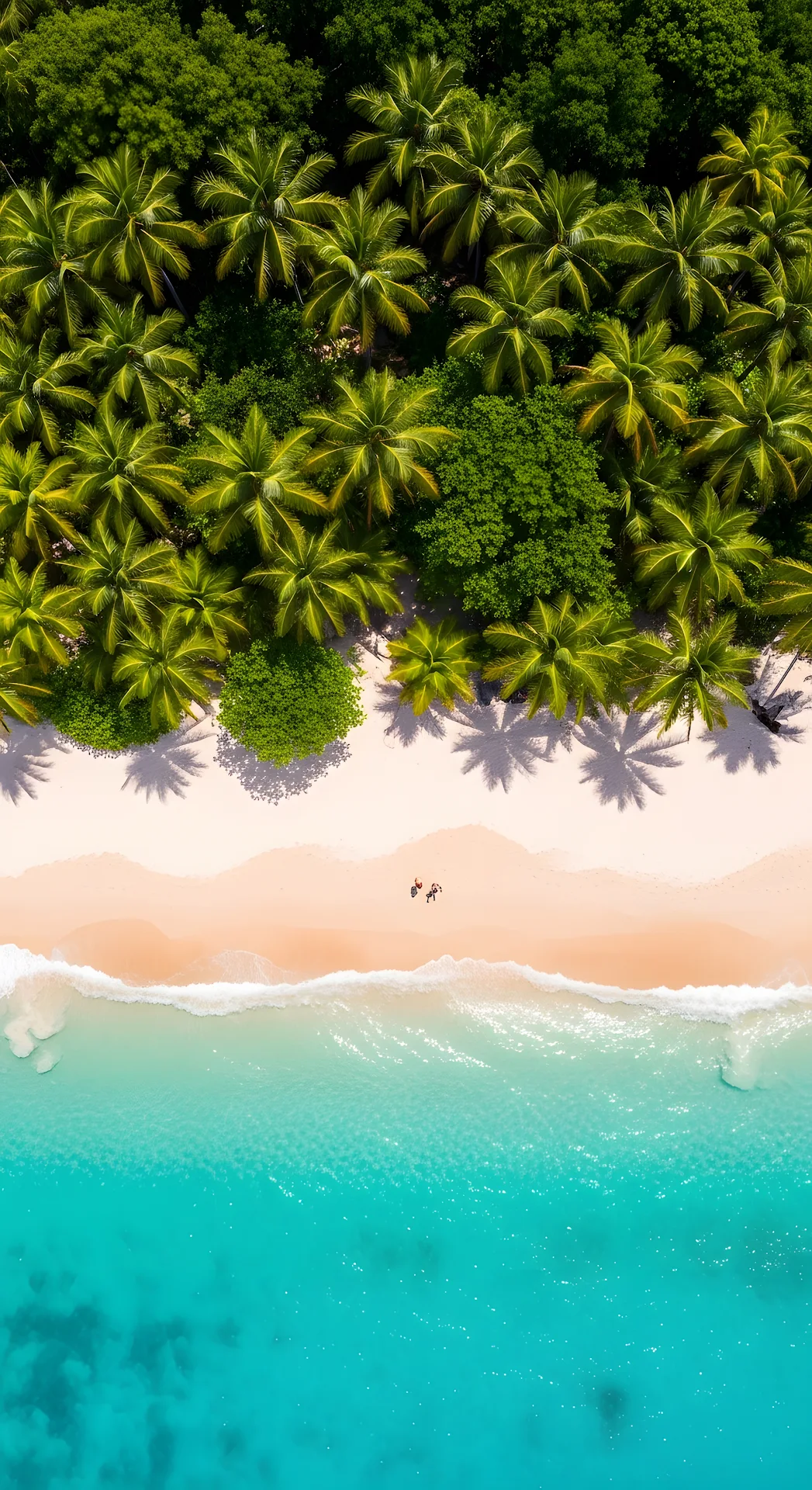 Vibrant Aerial View of Palm Trees Over a White Sand Beach and Turquoise Water - Free 4K mobile Wallpaper