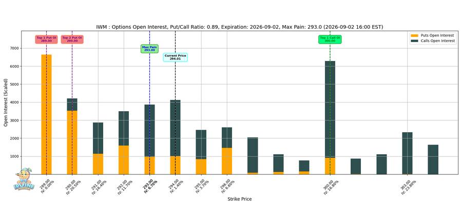 IWM Options
