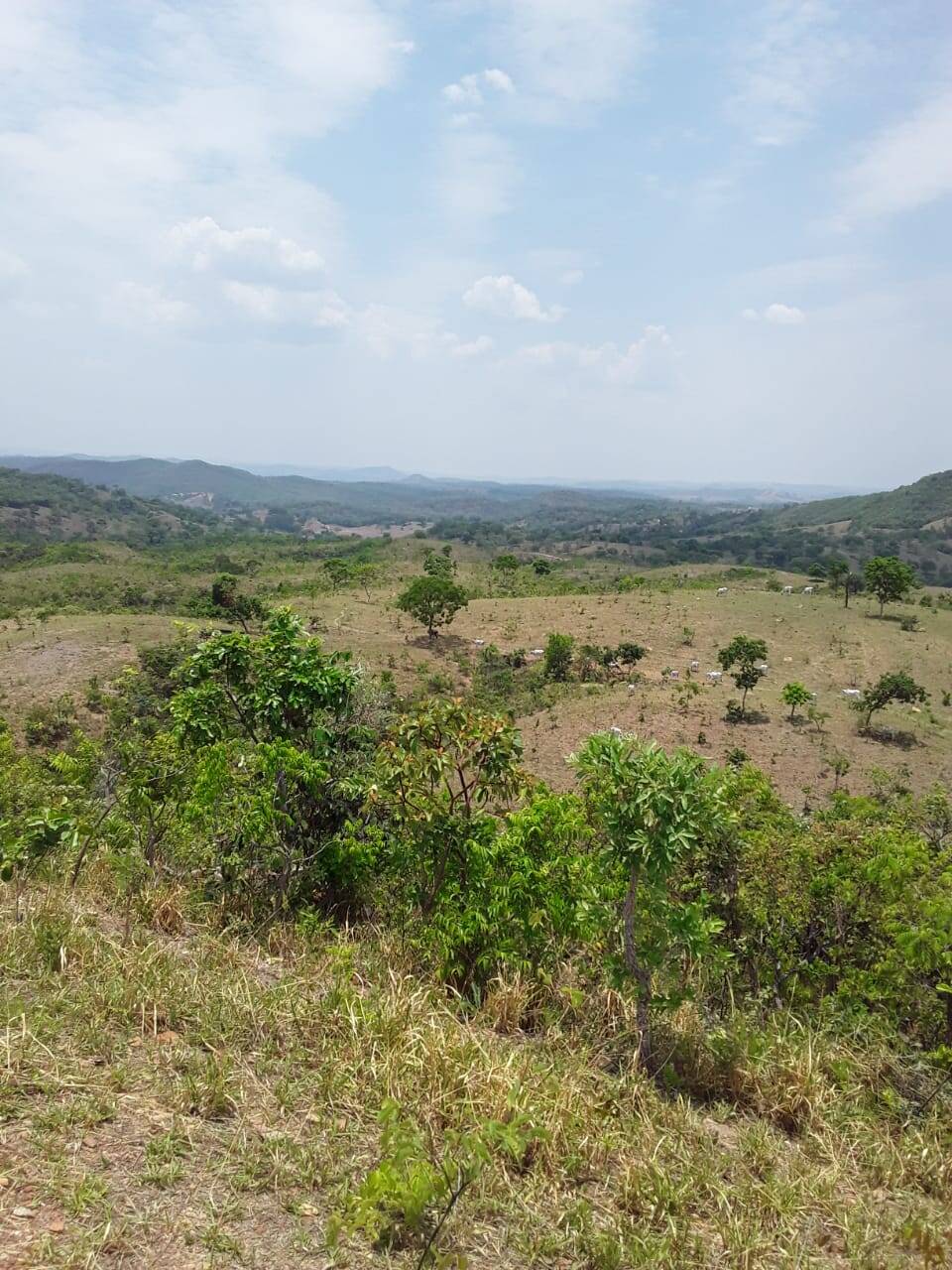 Fazenda em Cocalzinho de Goiás - GO (PORTERA FECHADA) 7