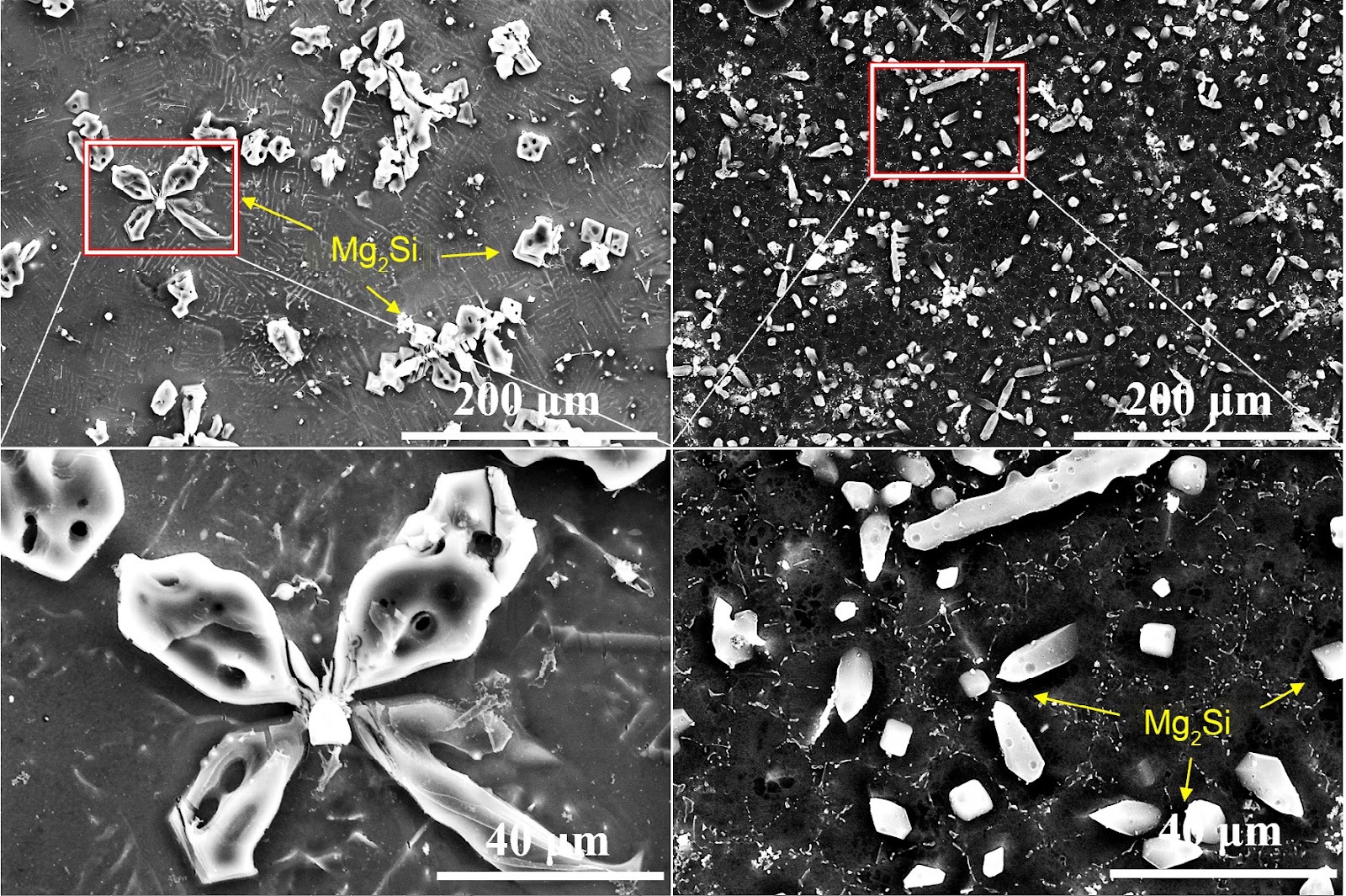 Mechanical properties and microstructures of Mg-6Si alloys fabricated using the tungsten-inert-gas arc additive manufacturing