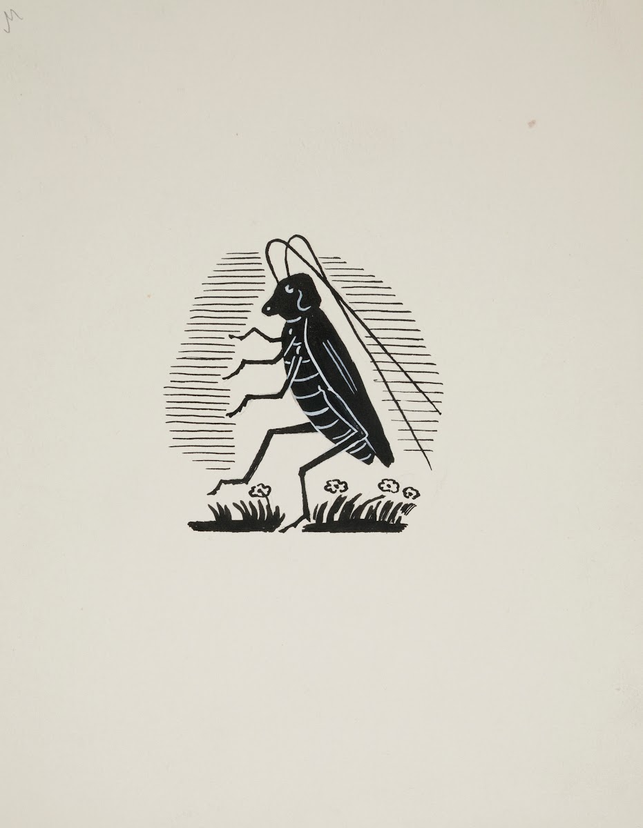 Projekt winiety  konik polny 1950 1960