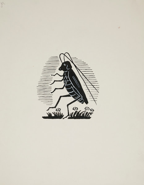 Projekt winiety  konik polny 1950 1960