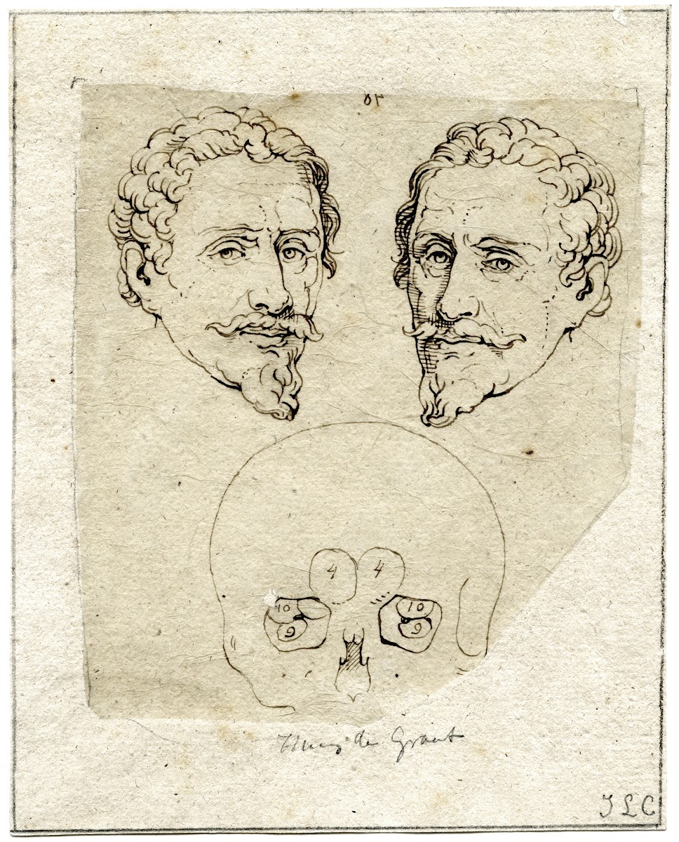 Kop van Hugo de Groot beeld spiegelbeeld en schedel