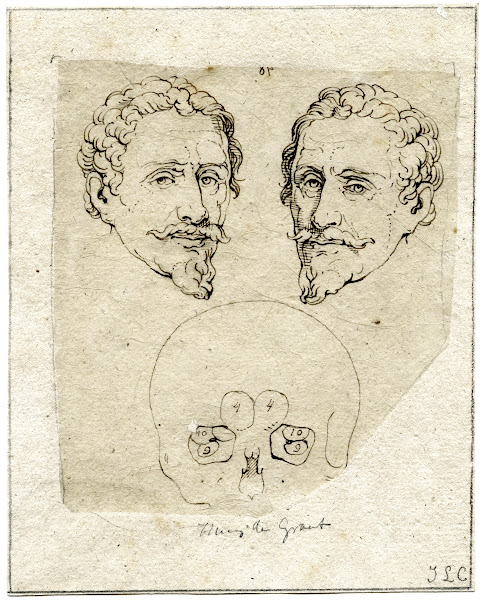 Kop van Hugo de Groot beeld spiegelbeeld en schedel