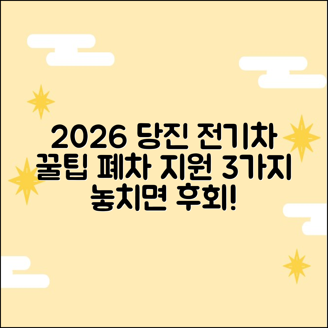 2026 당진시 전기차 폐차 지원 3가지 꿀팁
