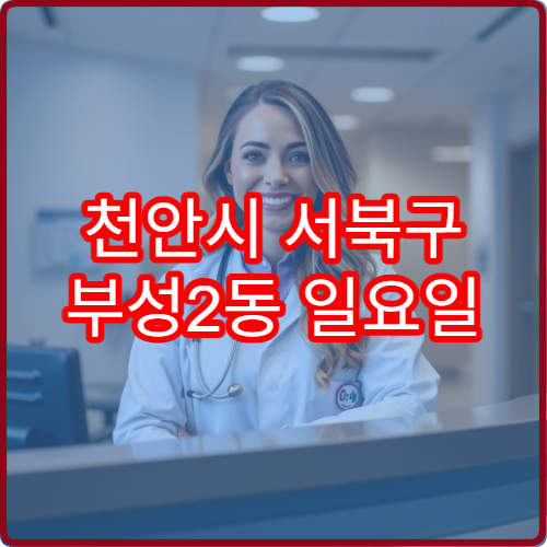 천안시 서북구 부성2동 일요일 정형외과 진료 병원 목 어깨 통증 치료