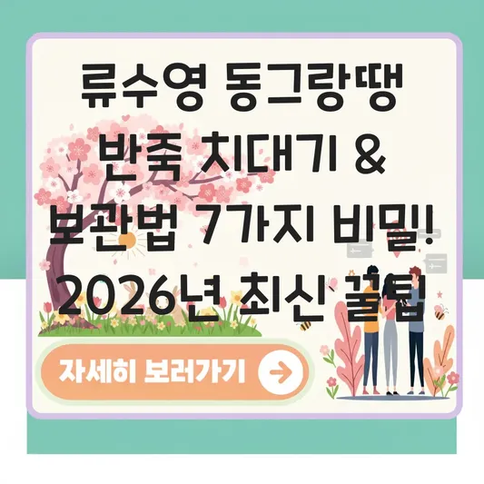 류수영 동그랑땡 반죽 치대기 및 보관법 대표 이미지