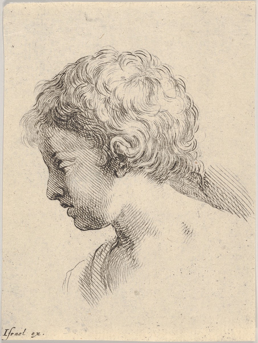 Plate 13 head of a young boy in profile 1649