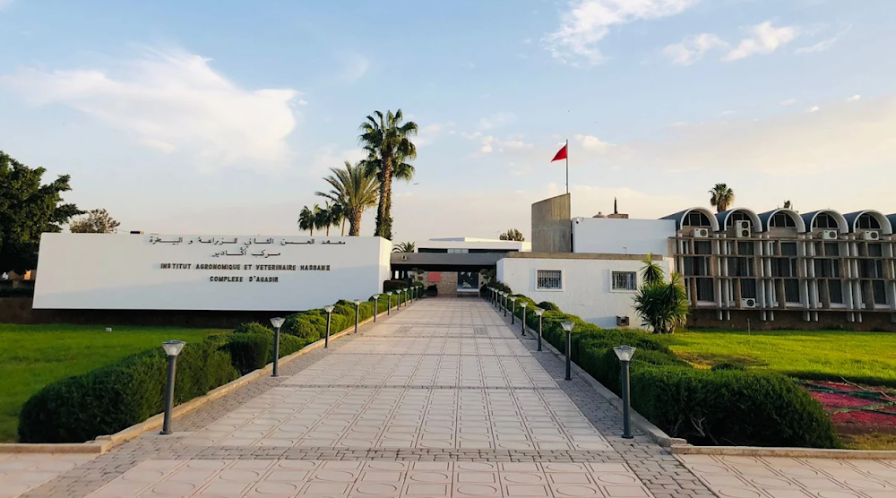 مركب البستنة