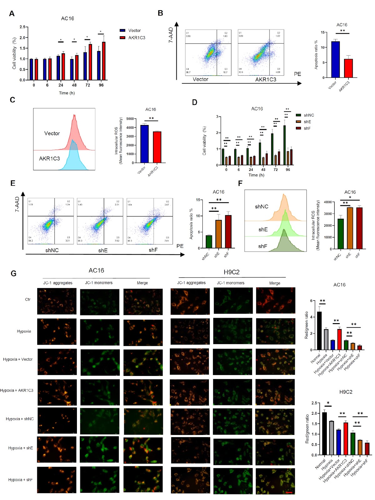 AKR1C3 protects cardiomyocytes against hypoxia-induced cell apoptosis through the Nrf-2/NF-κB pathway