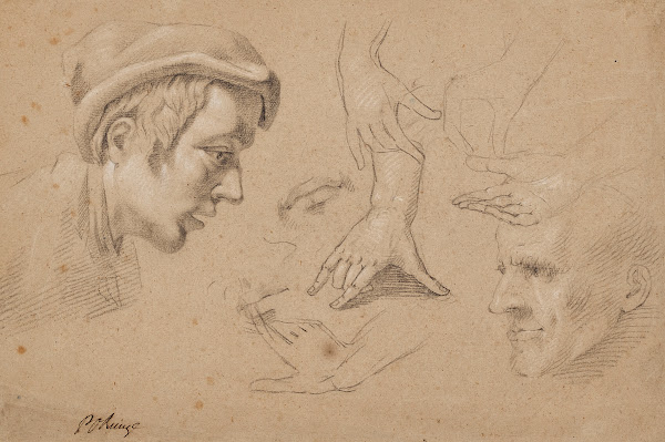 Study of heads and hands