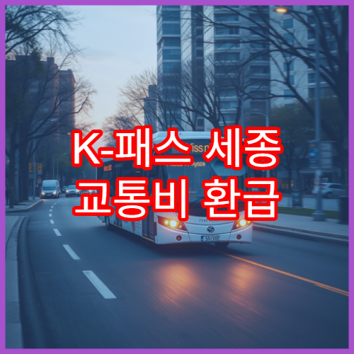 K-패스 세종 교통비 환급 구조, 모두의 카드와 궁합 분석