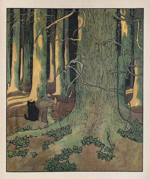 Walther Caspari