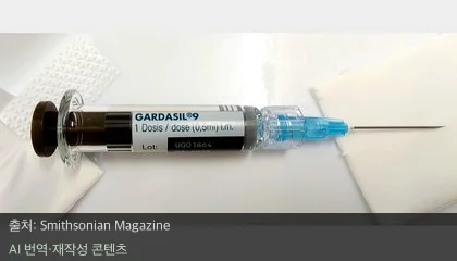 자궁경부암 예방 - 호주, 세계 최초 자궁경부암 퇴치할까? 최근 나타난 경고 신호