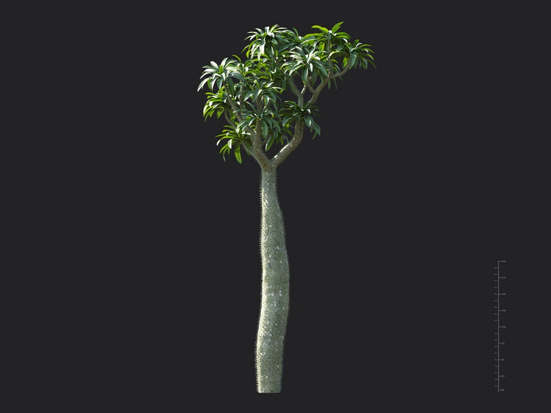 Maxtree - Plant Models Vol.130