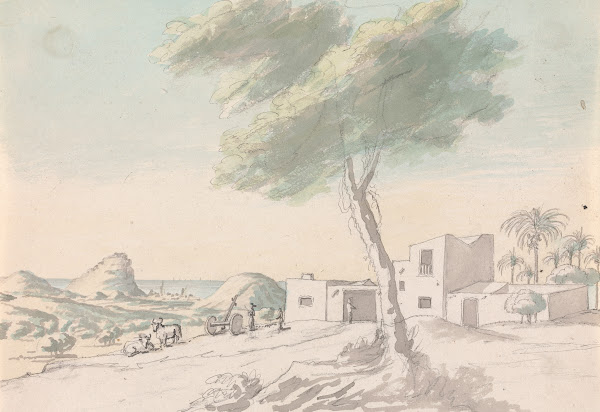 Landscape With view of coast and Palm trees in the Distance