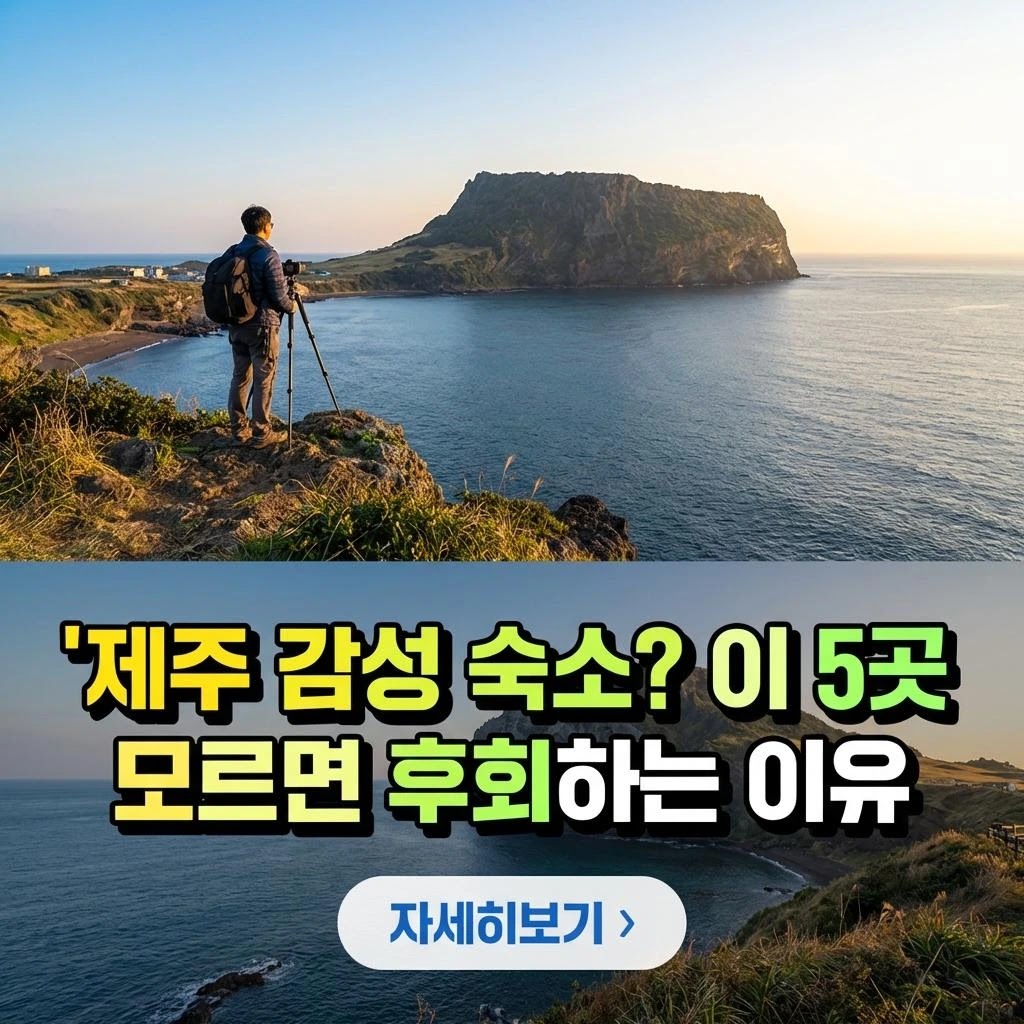 제주 감성 숙소? 이 5곳 모르면 후회하는 이유