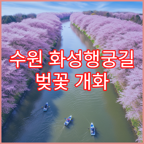 수원 화성행궁길 벚꽃 개화 3월 하순 행궁동 카페와 함께 즐기기