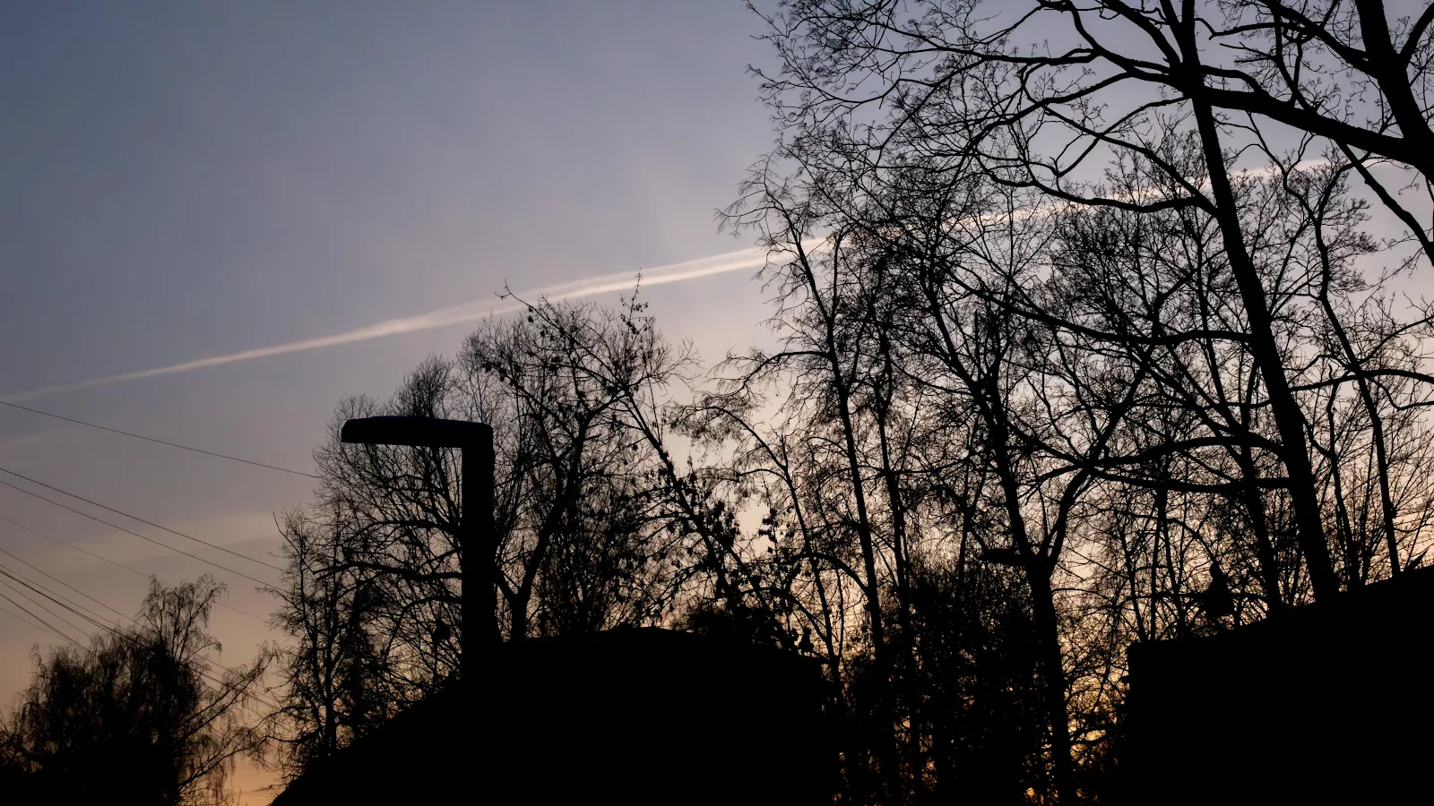 Bare Trees At Twilight Sky 4K Desktop Wallpaper