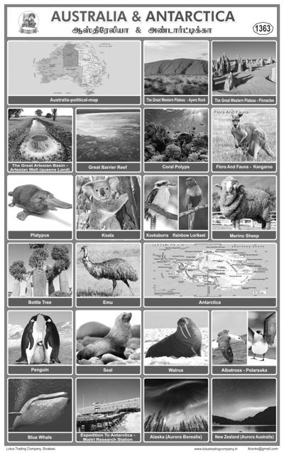 1363. Australia & Antarctica