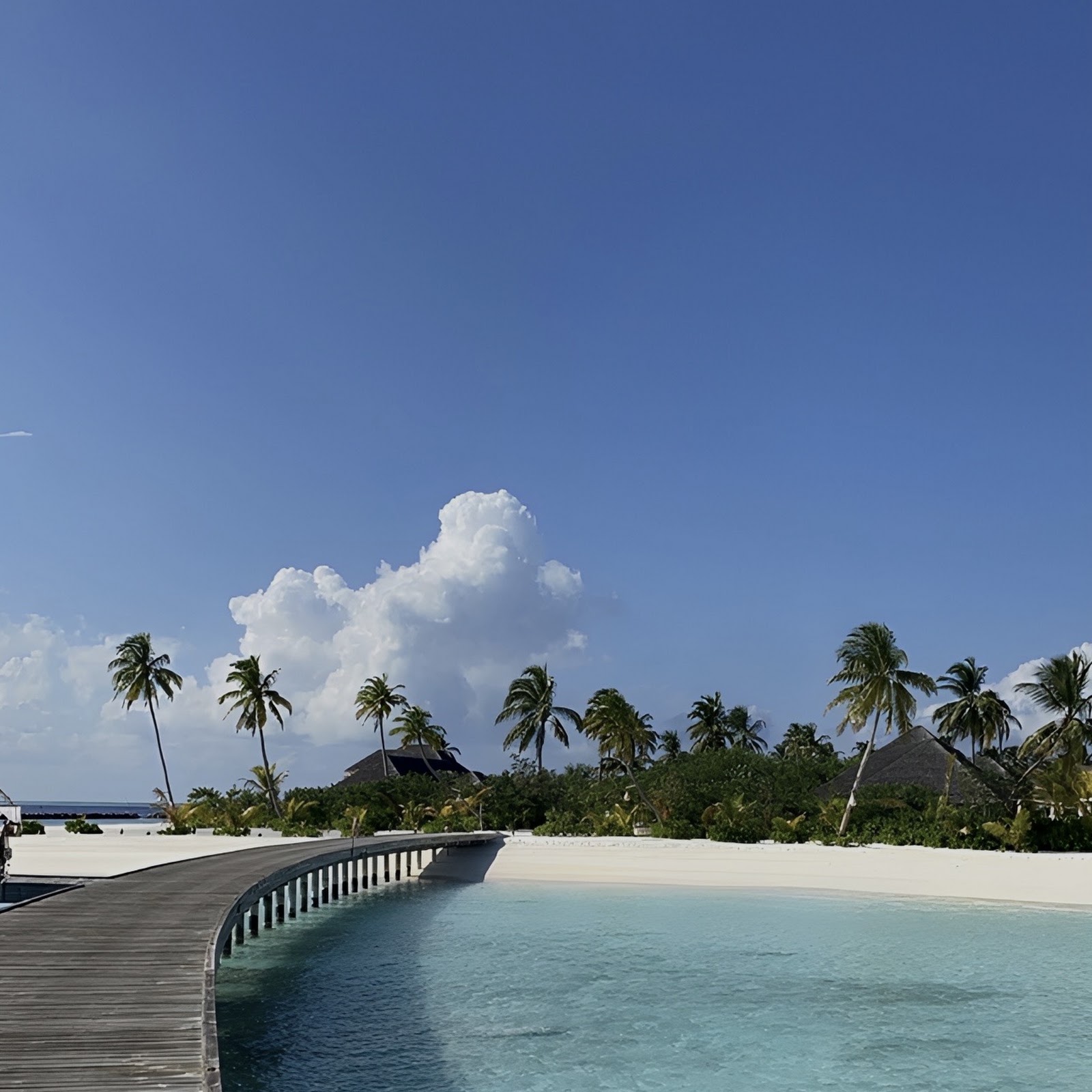 Download Tropical Boardwalk Over Clear Water Full HD iPhone