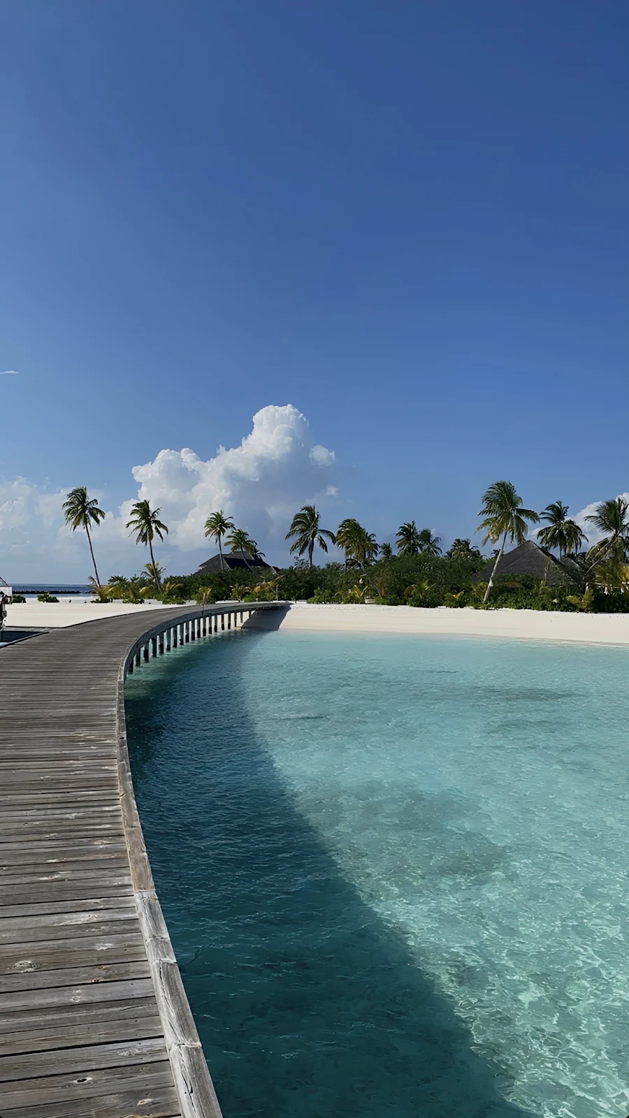 Tropical Boardwalk Over Clear Water - Travel Photography Full HD iPhone Wallpaper (1287x2288)