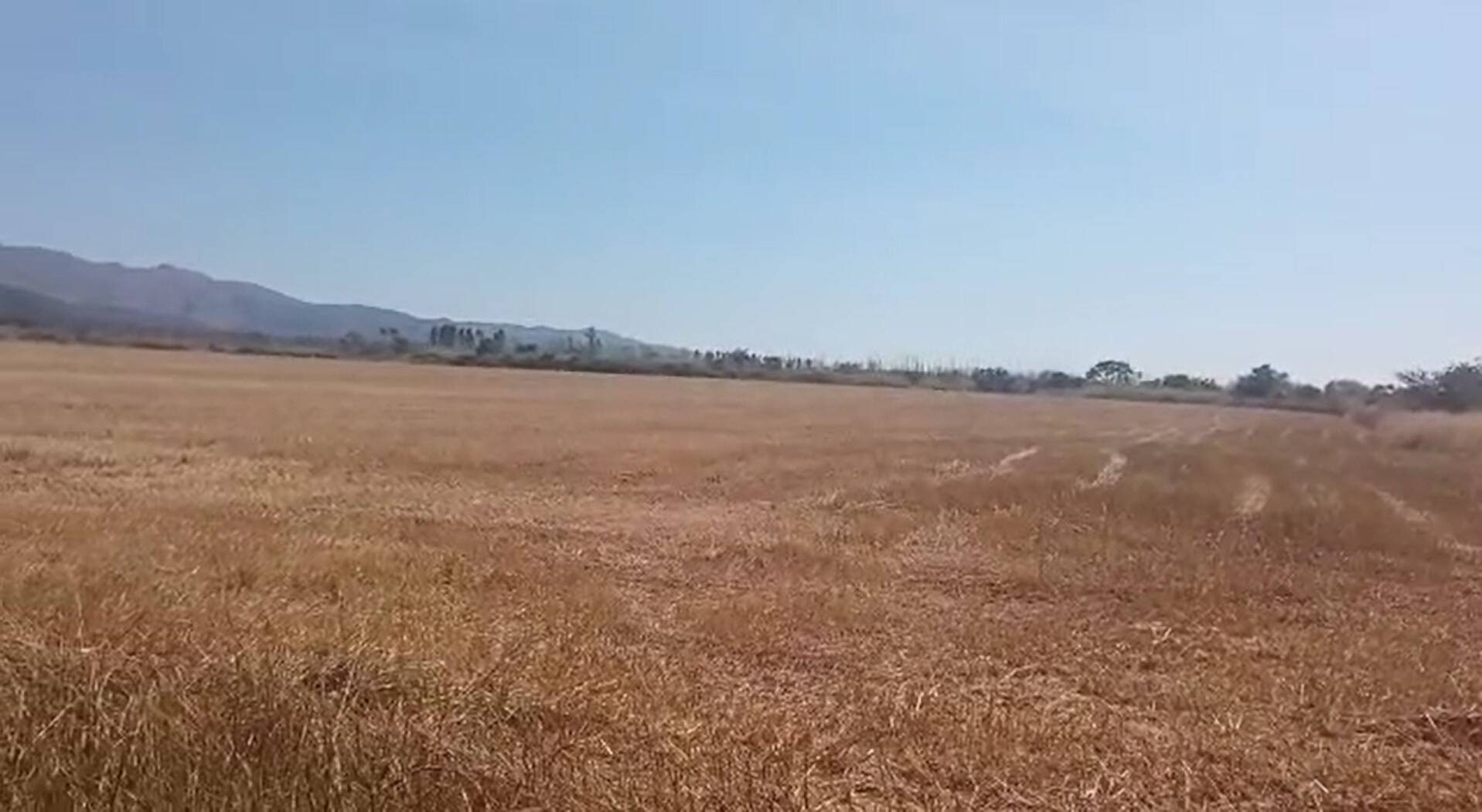 Fazenda em Niquelândia-GO 3