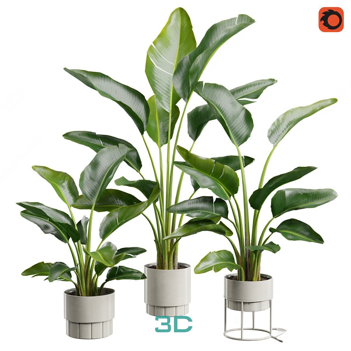 978.Sell Album Indoor Plant PRO Vol 01