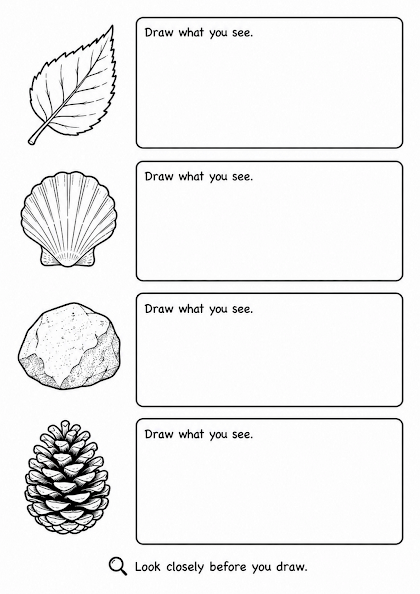 Draw What You See