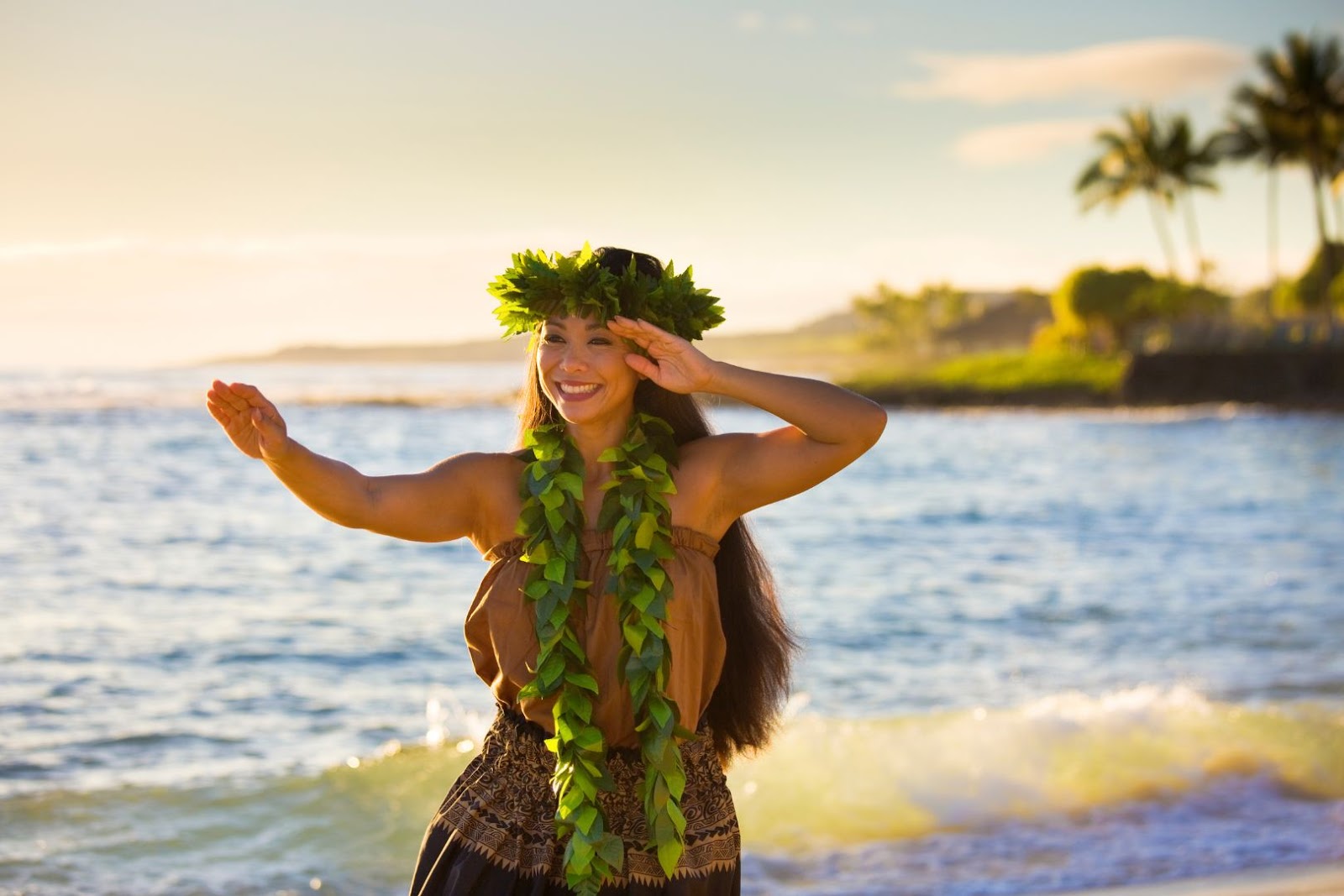 Hawaii Hula Dancer