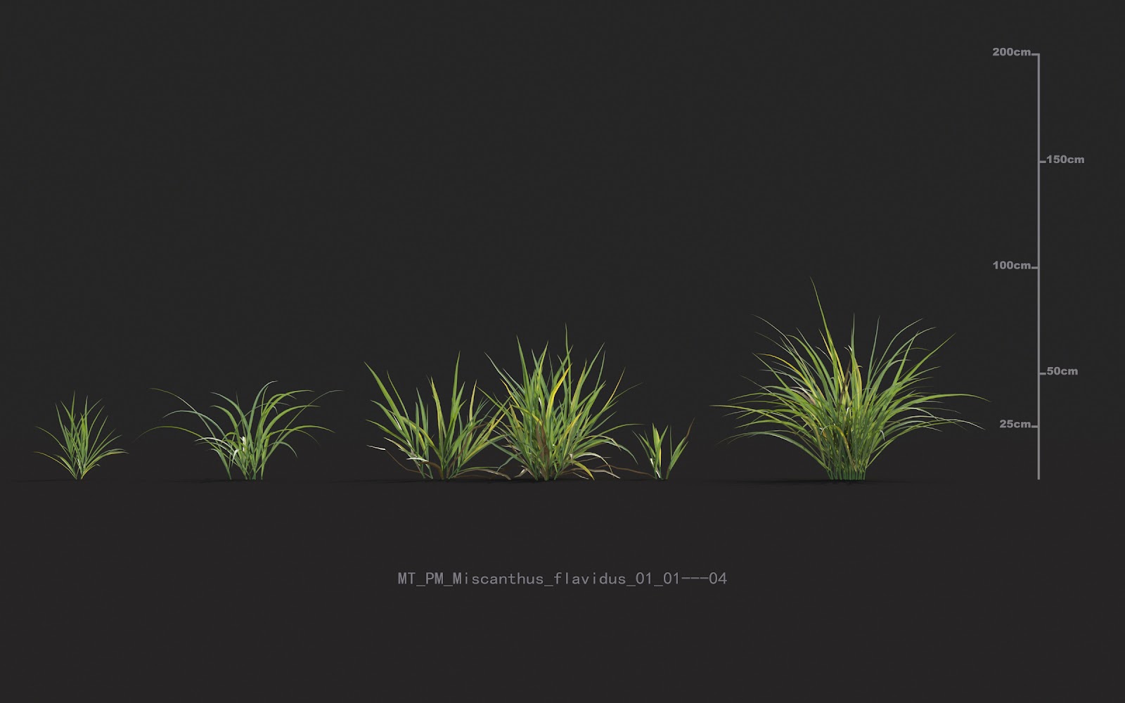 Maxtree - Plant Models Vol.20
