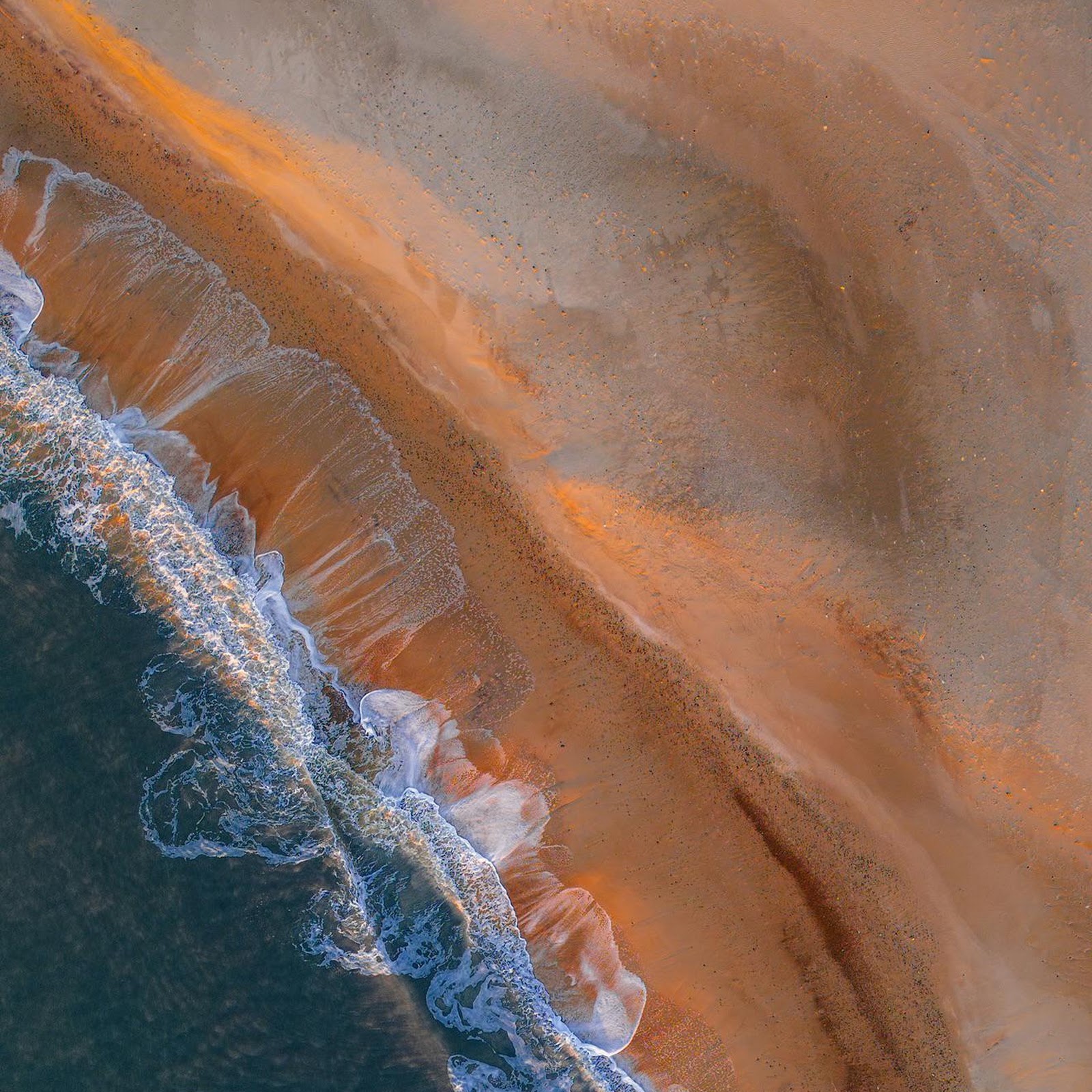 Download Aerial View of Sandy Beach Full HD iPhone
