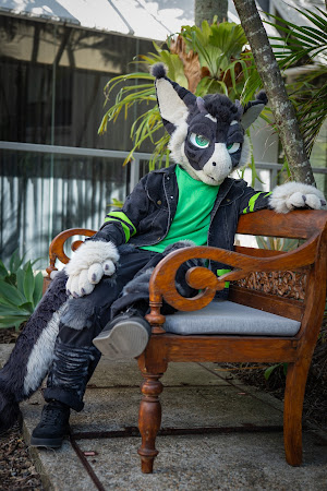 furdu-03989.jpg