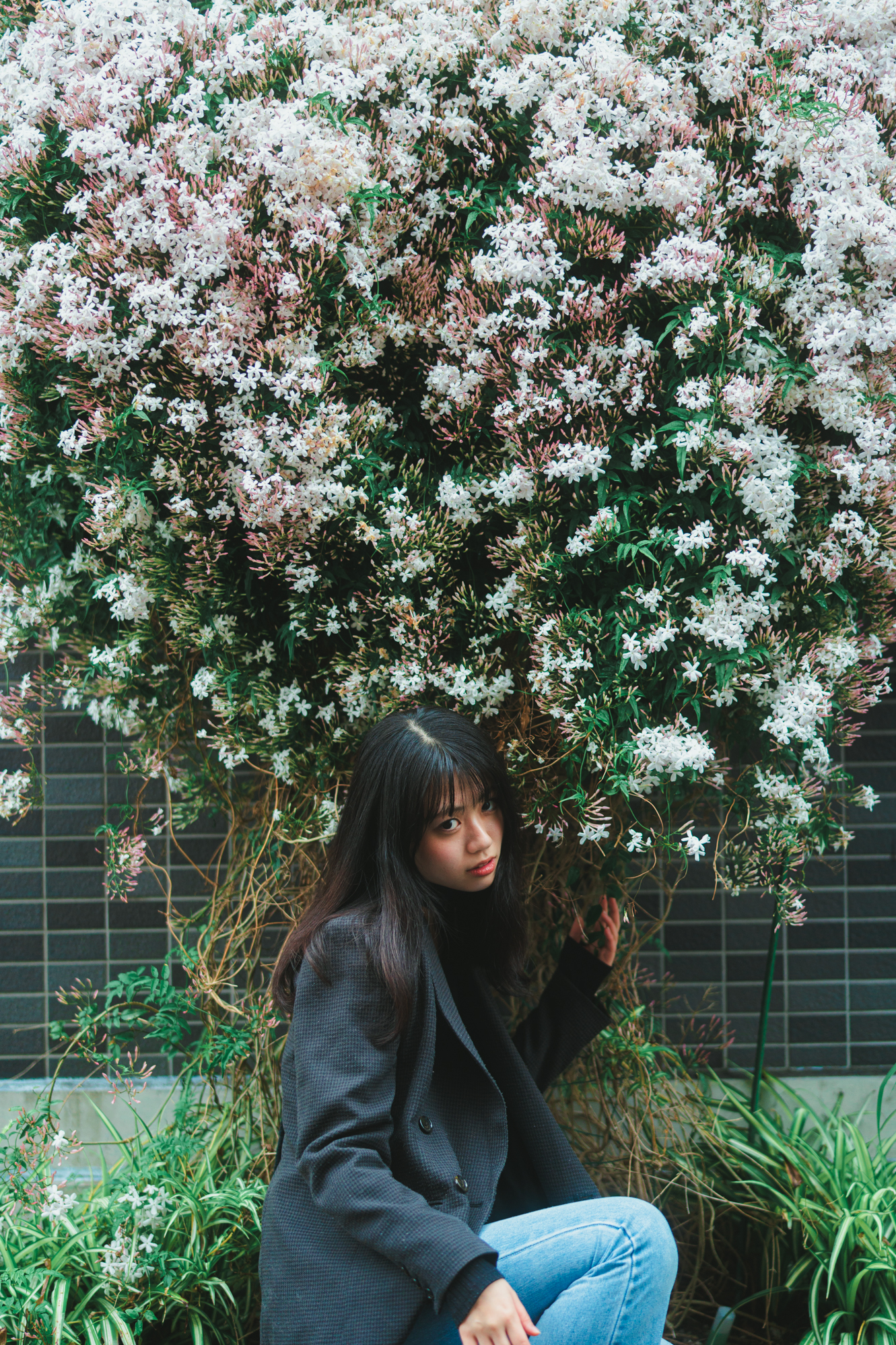 Portrait — Makino Shota