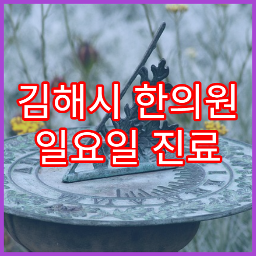 김해시 한의원 일요일 진료 한방치료 가능한 주말 한의원 정보