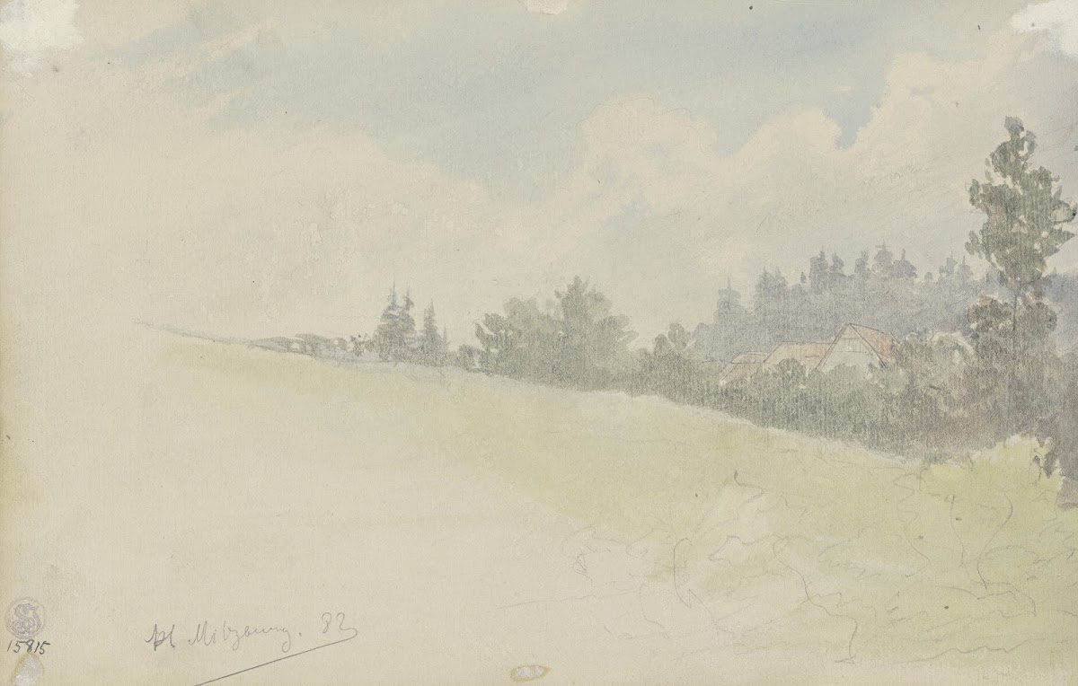 Sloping meadow 1882