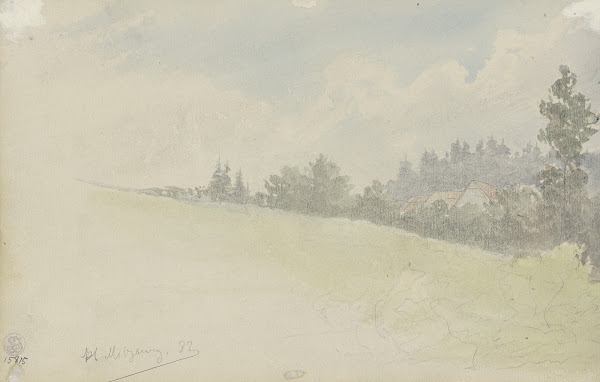 Sloping meadow 1882