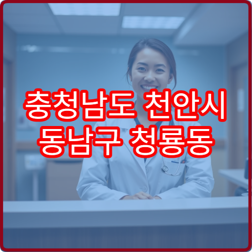 충청남도 천안시 동남구 청룡동 설날 명절 연휴 당번약국 영업시간