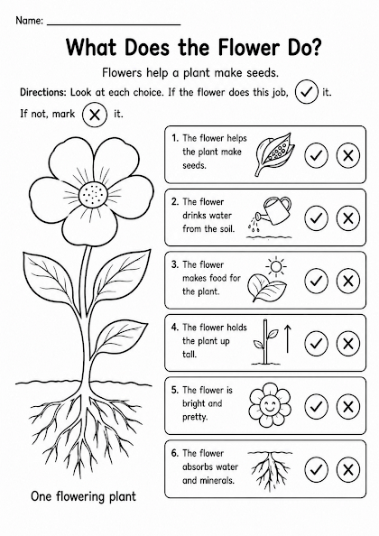 What Does the Flower Do?