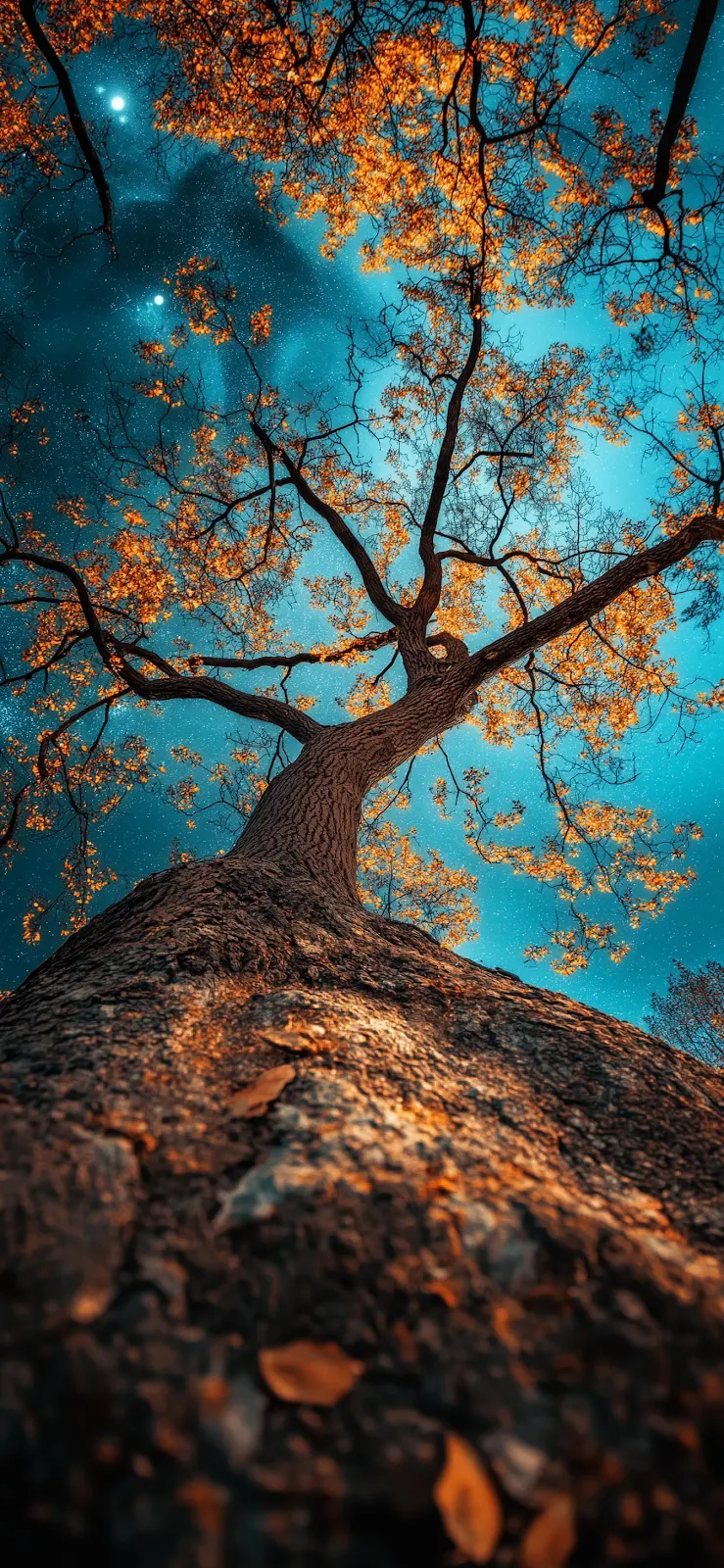 Golden Tree Under Starry Sky - Digital Nature Photography Full HD iPhone Wallpaper (1344x2911)