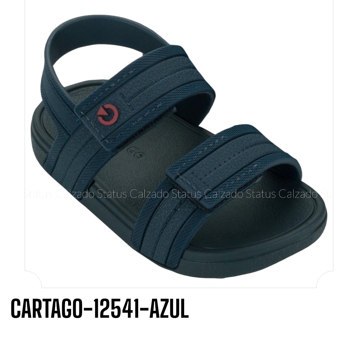 CARTAGO-12541-AZUL