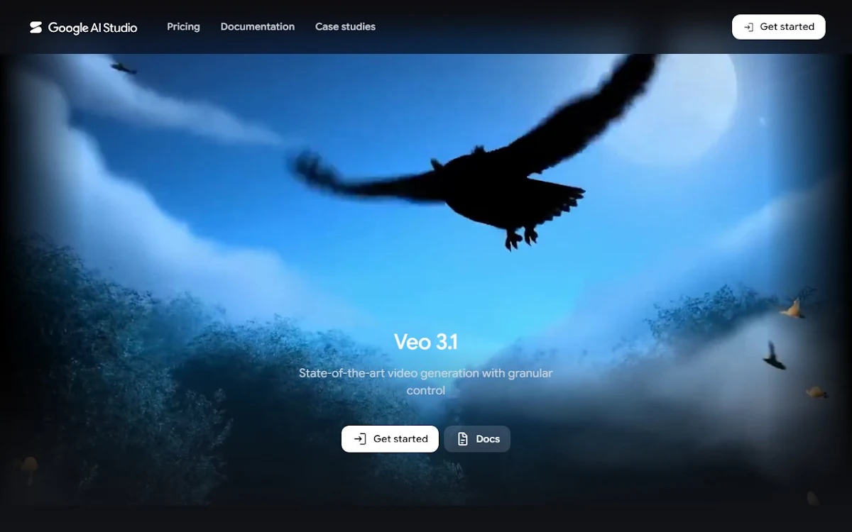 Captura de Google Veo