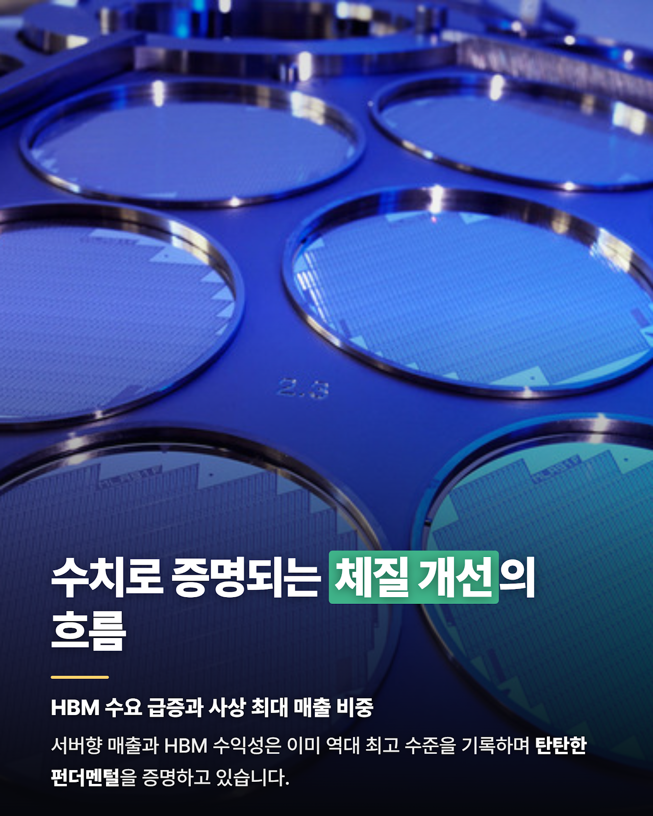 카드뉴스