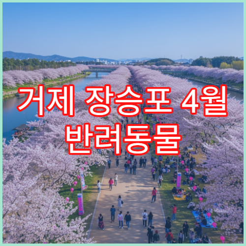 거제 장승포 4월 반려동물 산책 허용 구역 해안 안전 가이드