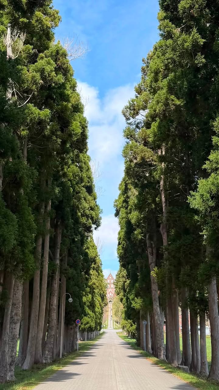 2026/04/25 Day2北海道