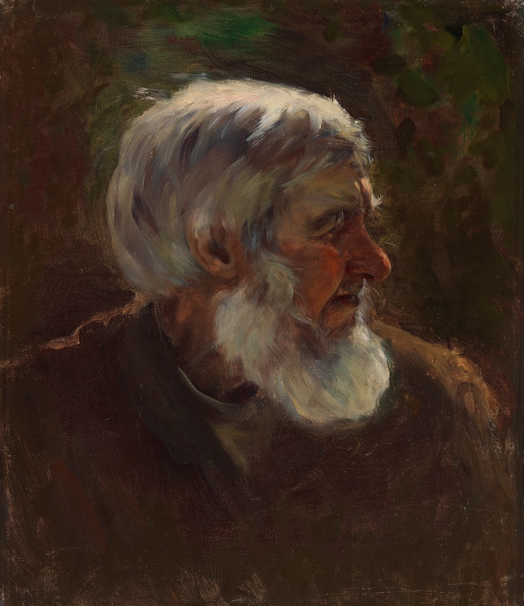 Old Man in Profile 1895   1896