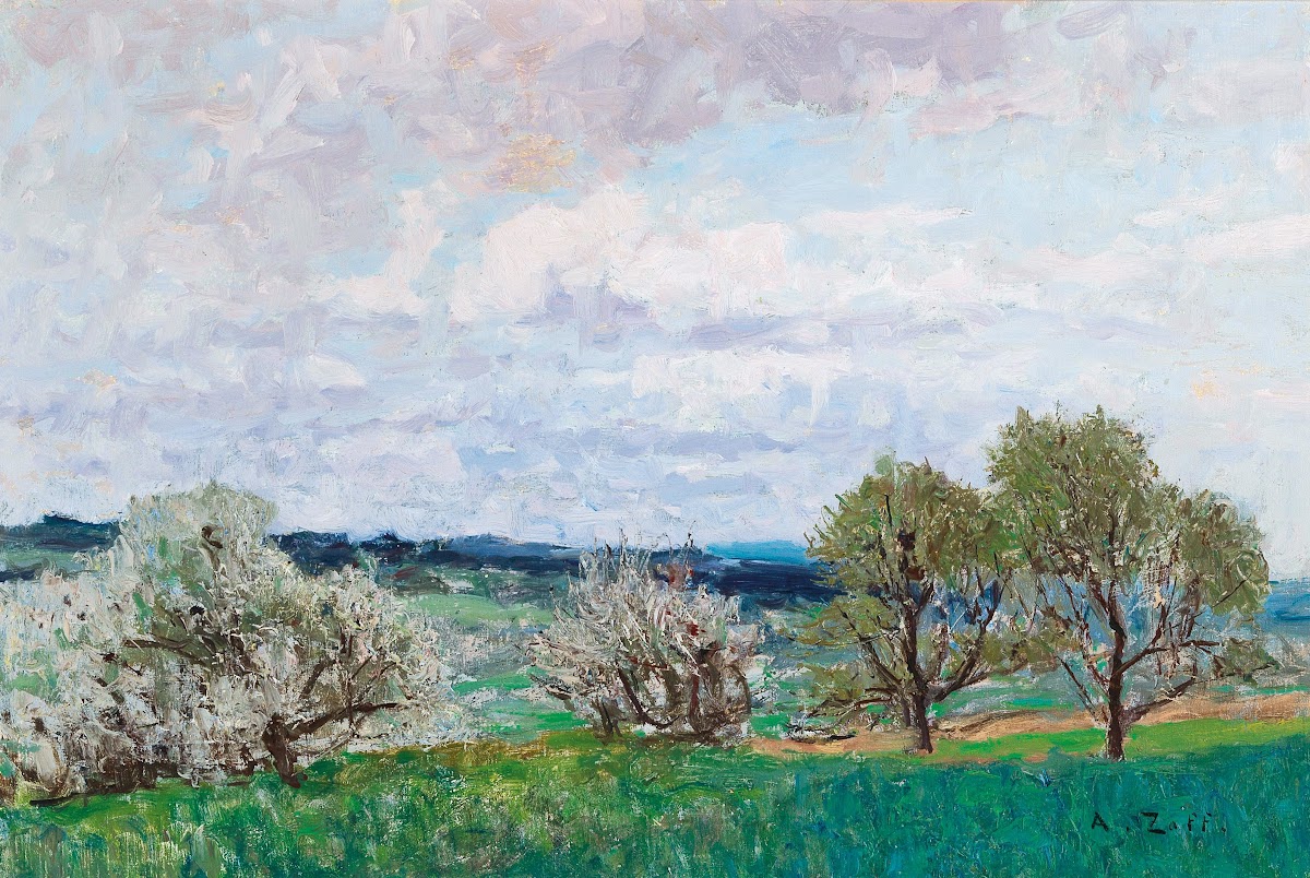 Blossoming Trees In Deutschlandsberg