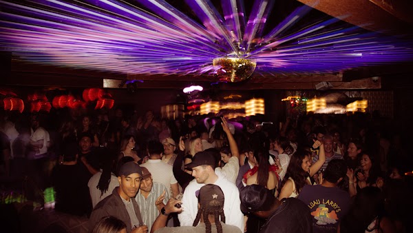 Paradisco photo 16