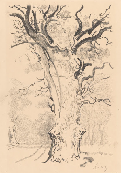 Oak About Rogalin 1926